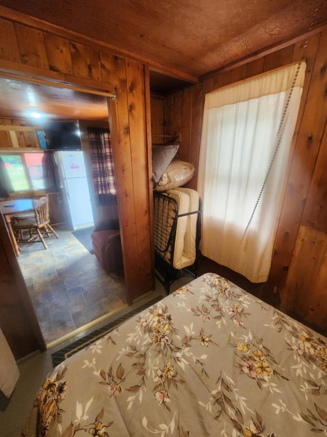 Cabin 2 Manistique Extérieur photo